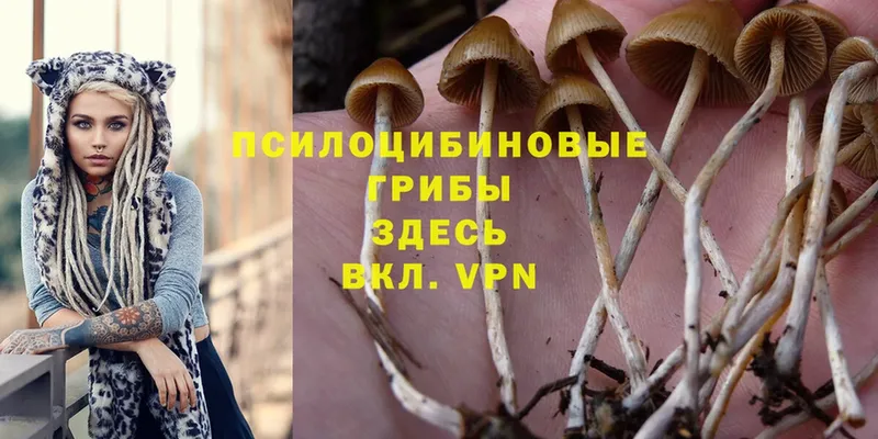 площадка наркотические препараты  Ардон  Псилоцибиновые грибы MAGIC MUSHROOMS 